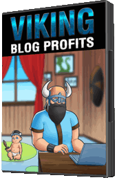 Viking Business Series - Blog Profits